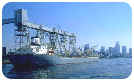 transport, freight forward, Russia, logistic, export, container